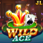 Wild Ace casini game